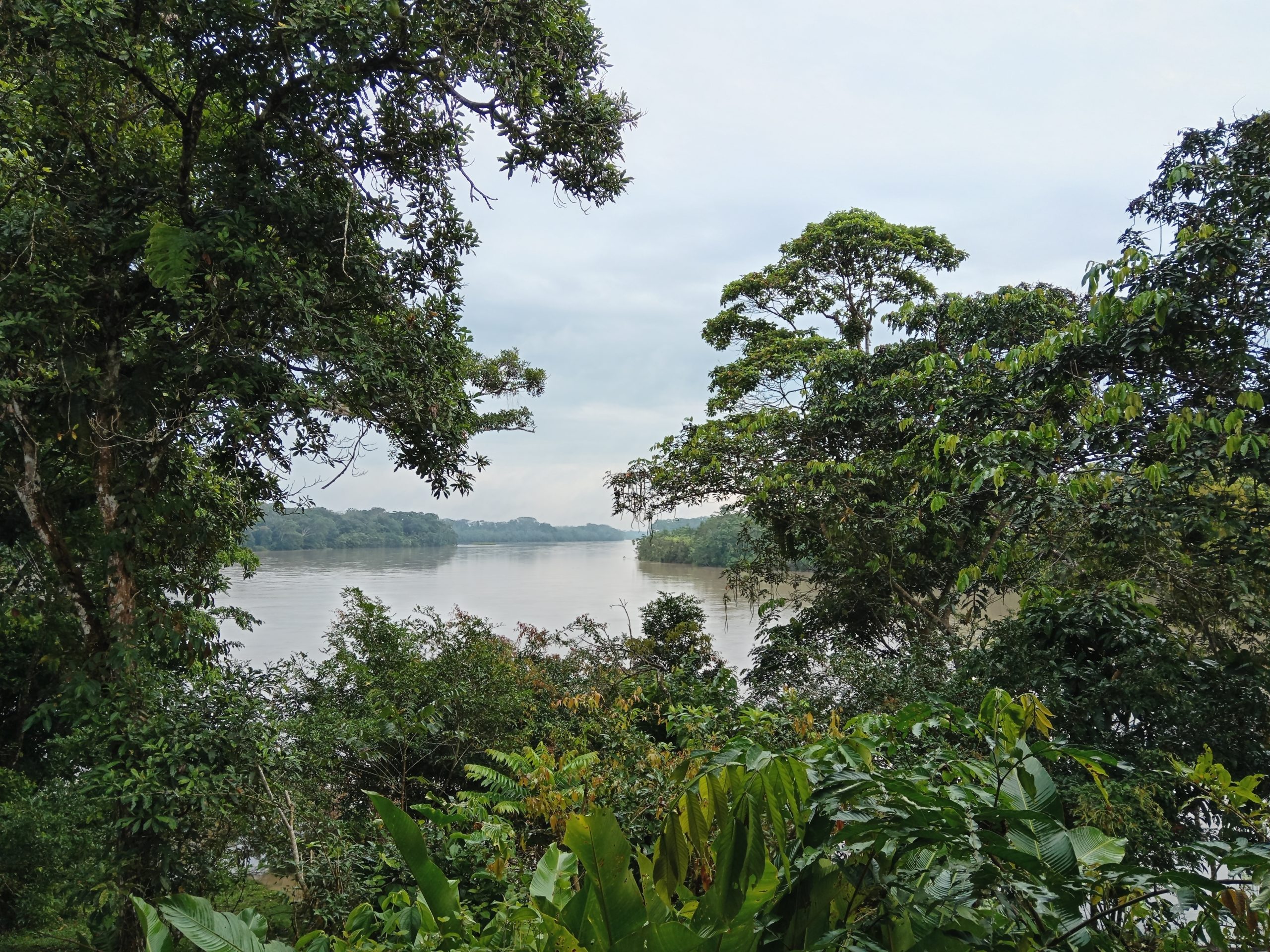 river, guaporé, amazon