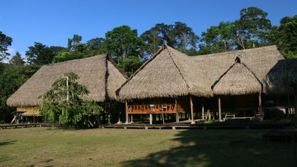 Why Ecuador’s Amazon is a Must-Visit for Ecotourists?