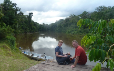 Poisonous Plants of the Amazon: What Not to Touch on Your Jungle Trip