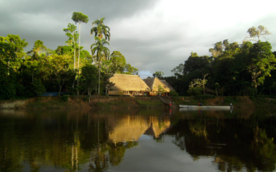 8 Reasons Canoeing the Cuyabeno River in Amazon Should Be on Your Adventure List