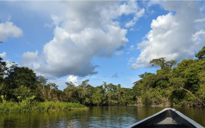 Beyond the Beauty: Unseen Dangers Lurking in the Ecuador’s Amazon Rainforest