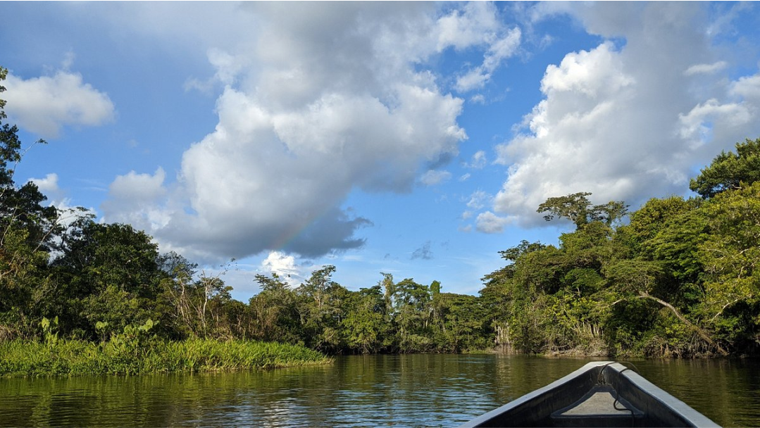 Beyond the Beauty: Unseen Dangers Lurking in the Ecuador’s Amazon Rainforest